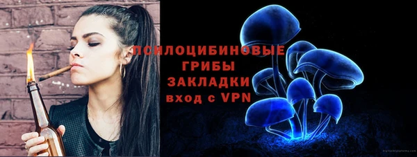 первитин Алексеевка