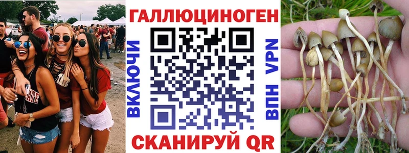 где купить наркоту Щёлково Галлюциногенные грибы Magic Shrooms